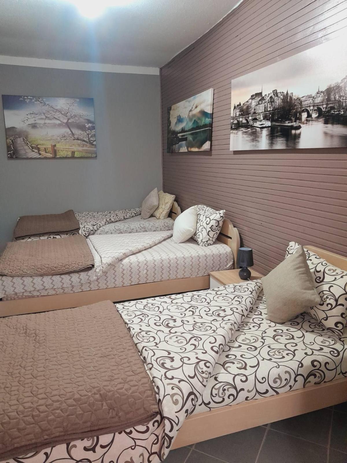 Apartman Radoman ツェティニェ エクステリア 写真